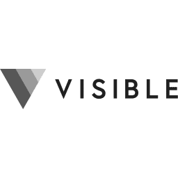 Visible for Companies logo
