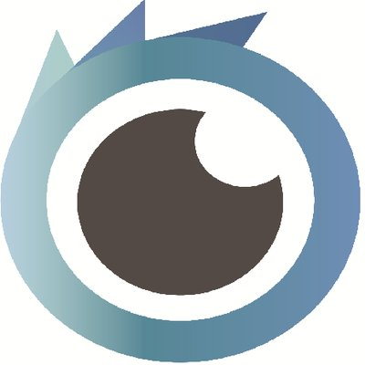 Visual-Eyes logo