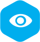 Visual Inspector  logo
