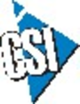 Visual Shop logo