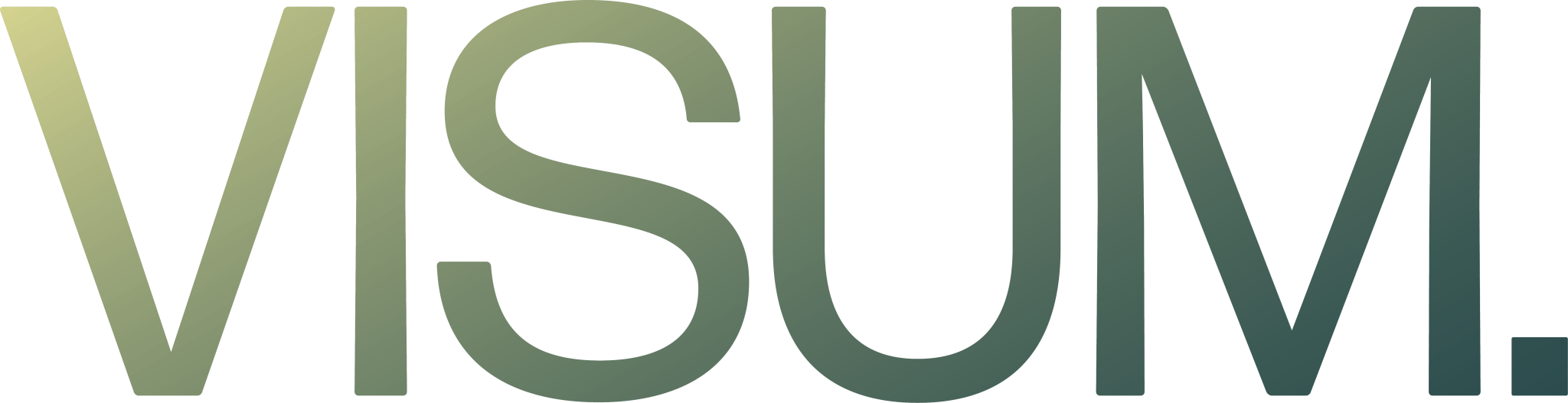 VISUM logo