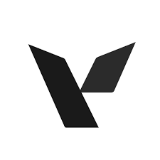 Visus logo