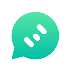 WbizTool logo