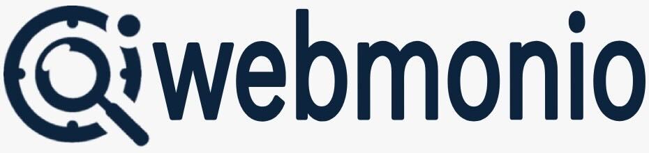 webmonio logo