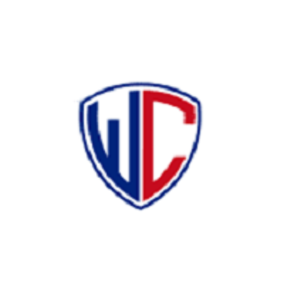 WholeClear MSG Converter logo