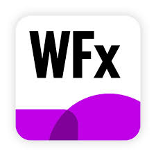 Winner Flex logo