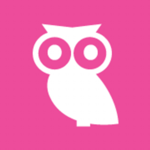 Wisboo logo