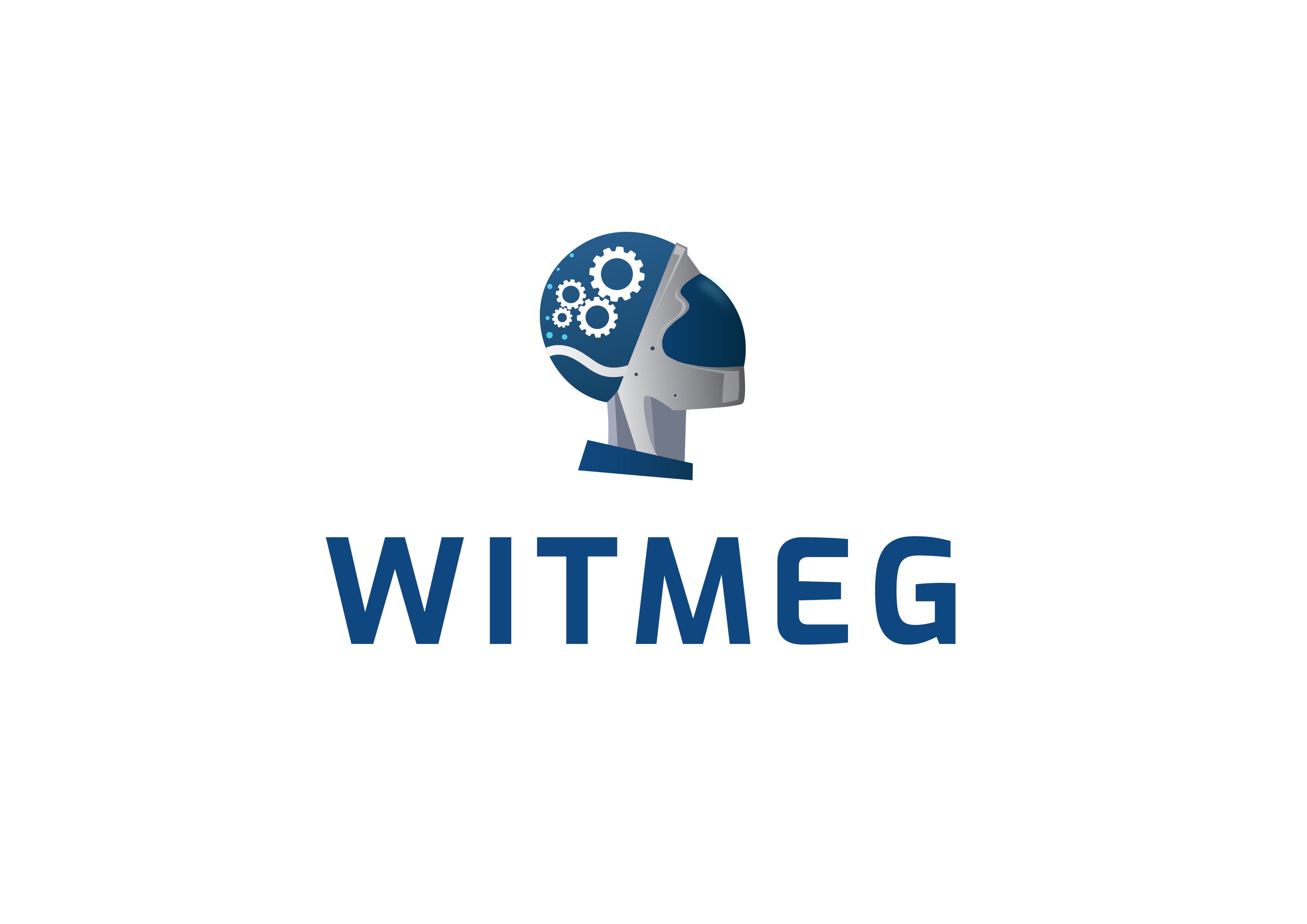 WITMEG logo