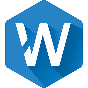 WizyEMM logo