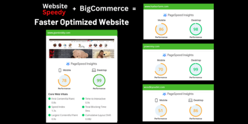 Website Speedy screenshot & Video