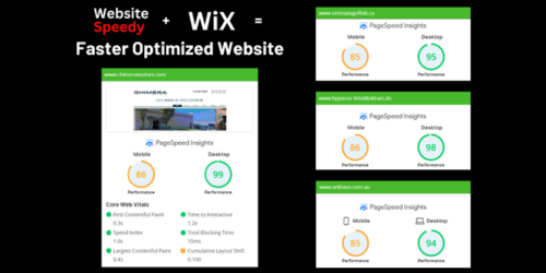 Website Speedy screenshot & Video
