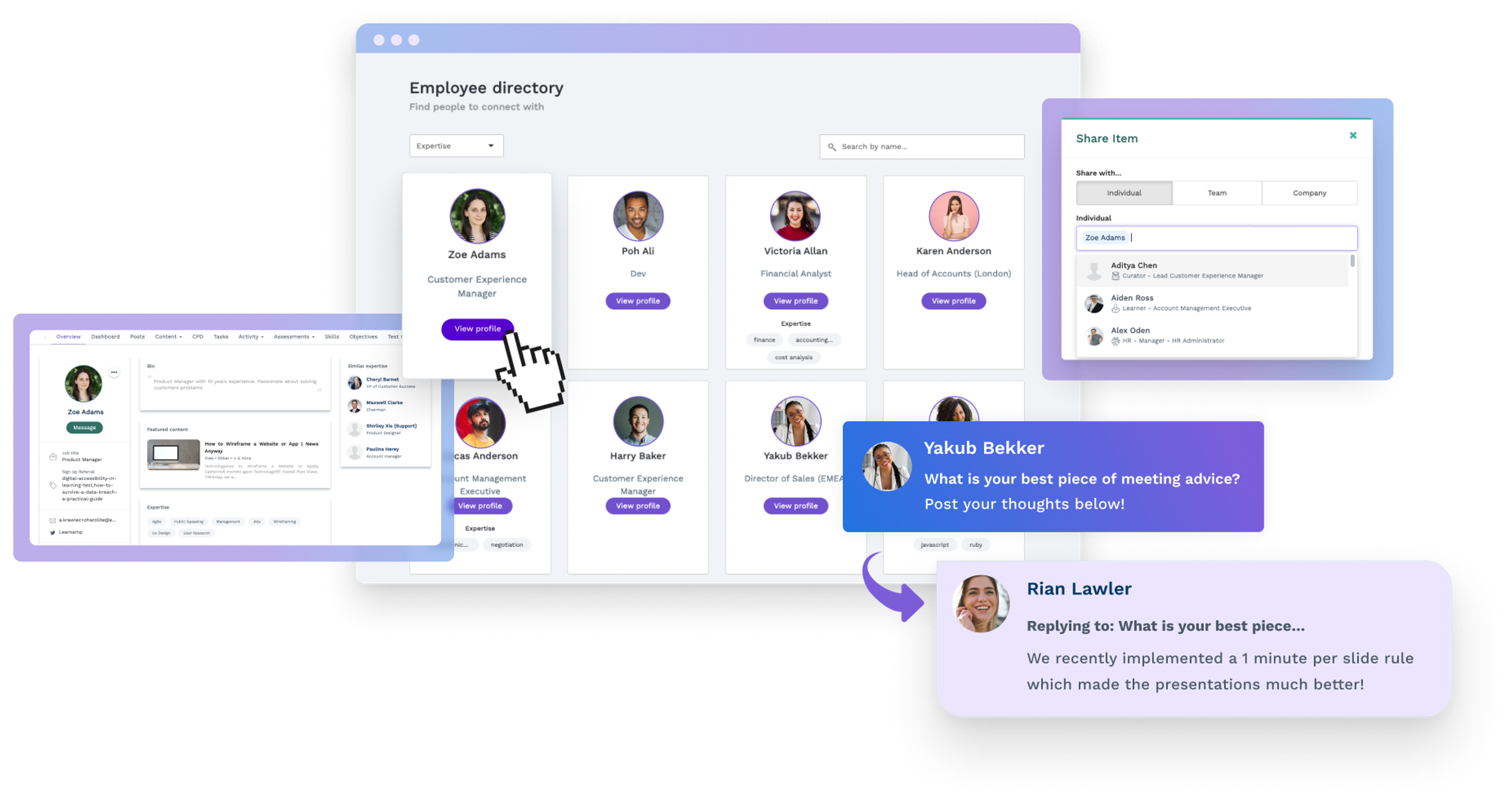 Learn Amp Screenshot