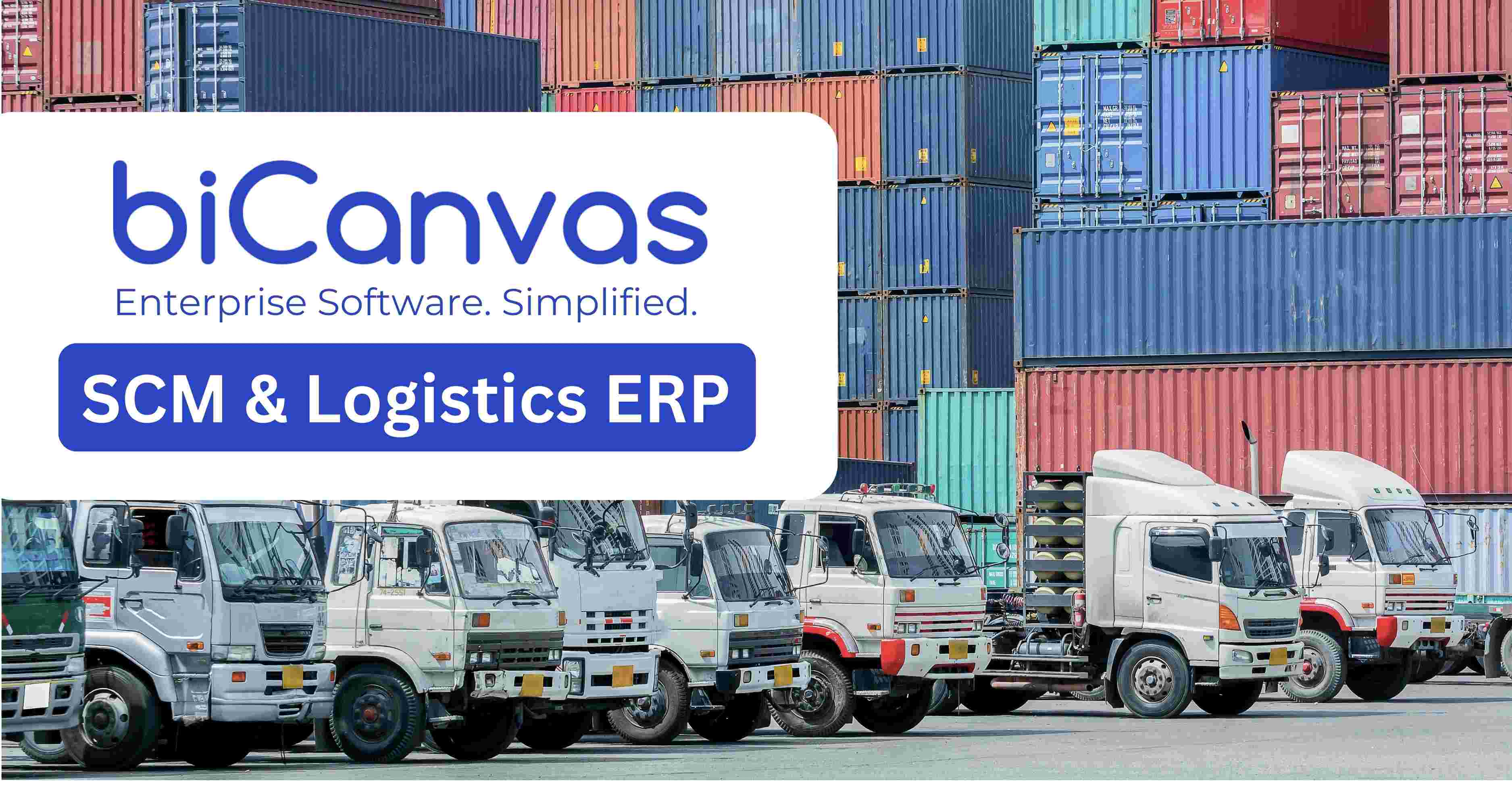 biCanvas ERP Screenshot