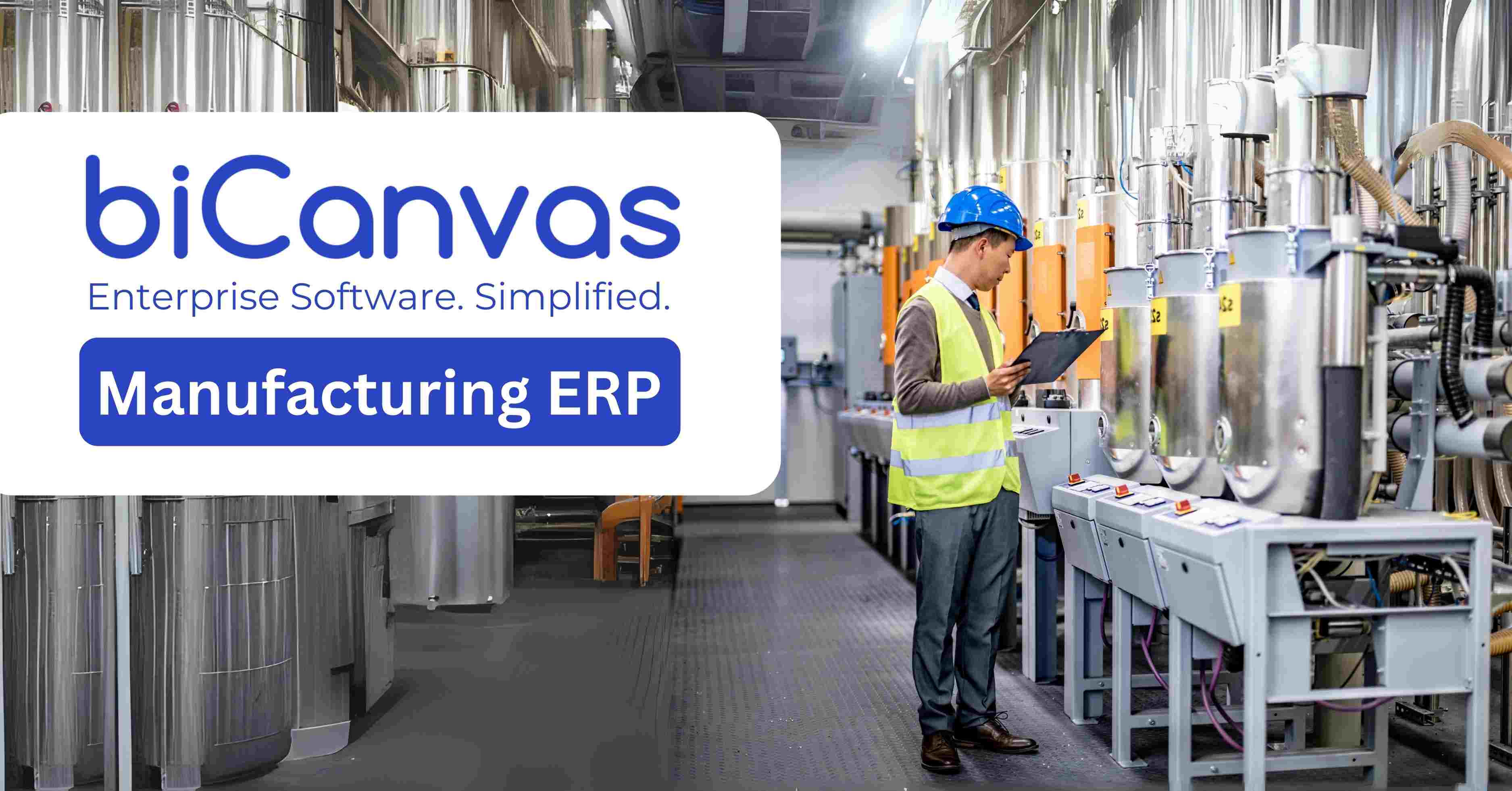 biCanvas ERP Screenshot