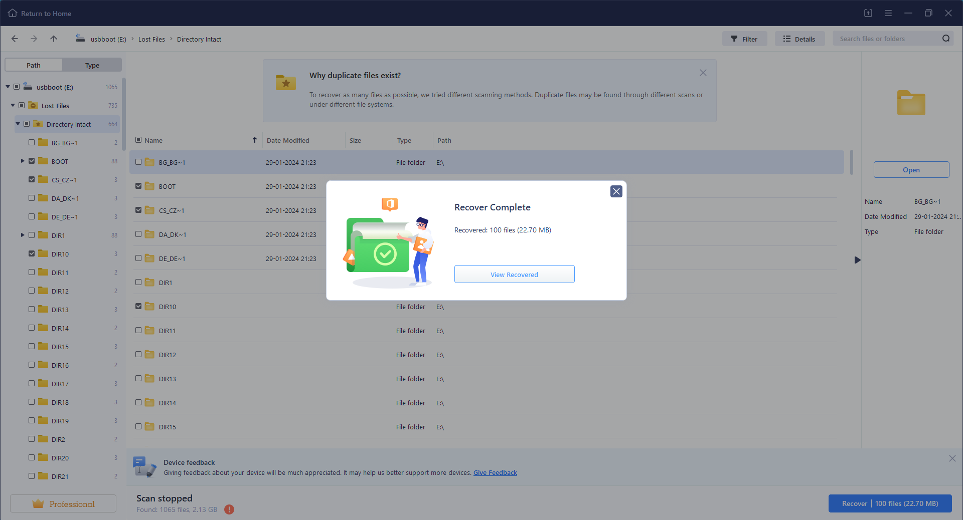 BLR Data Recovery Tool Screenshot