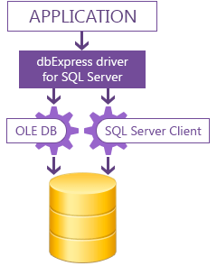 dbExpress Driver for SQL Server screenshot & Video