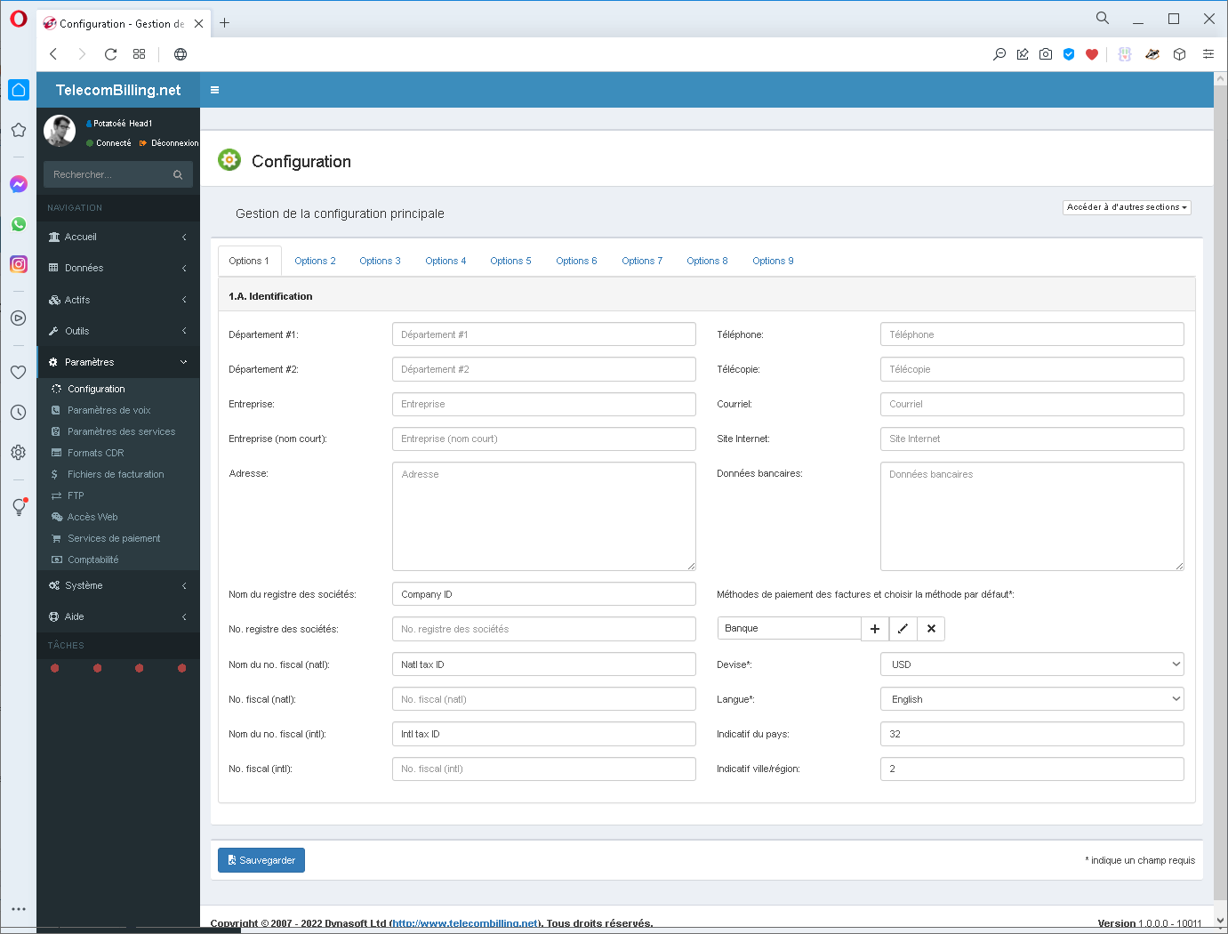 Dynasoft TelecomBilling.Net Screenshot