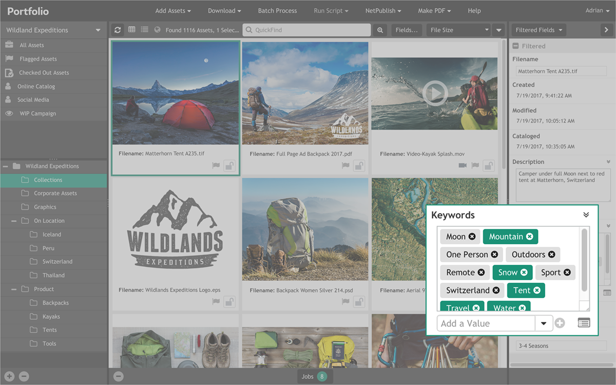 Extensis Portfolio Screenshot