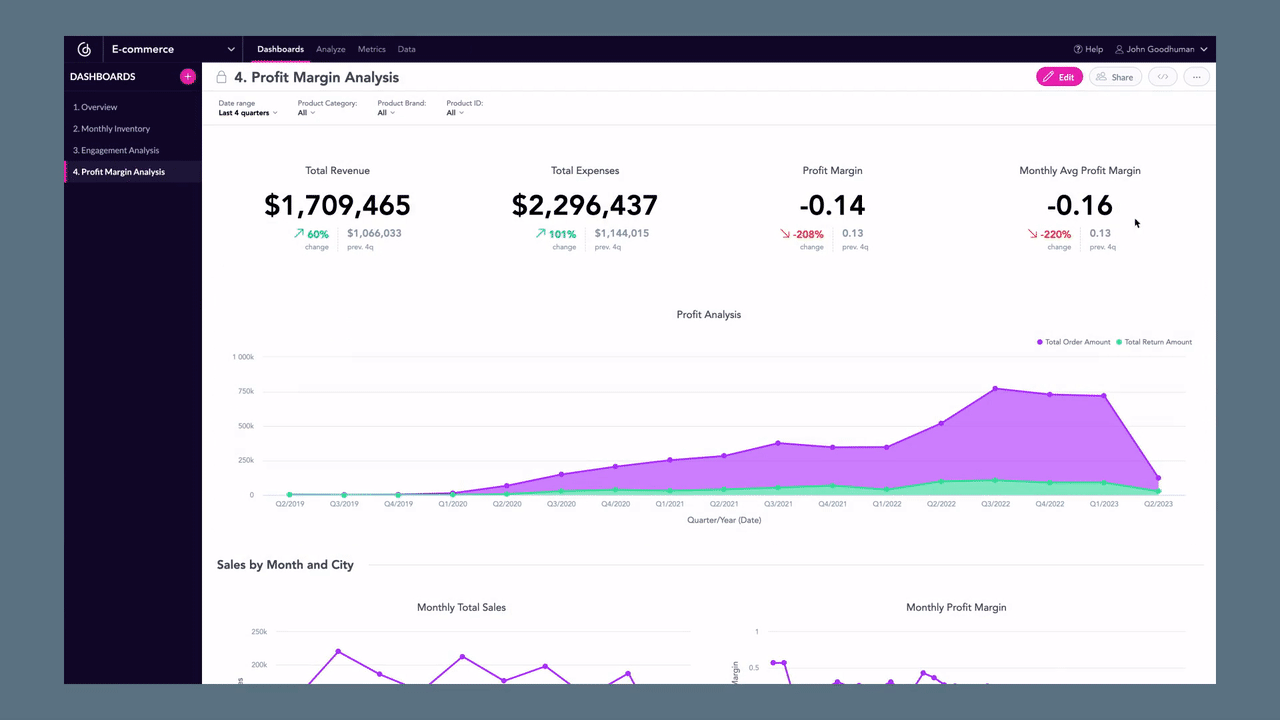 GoodData Screenshot