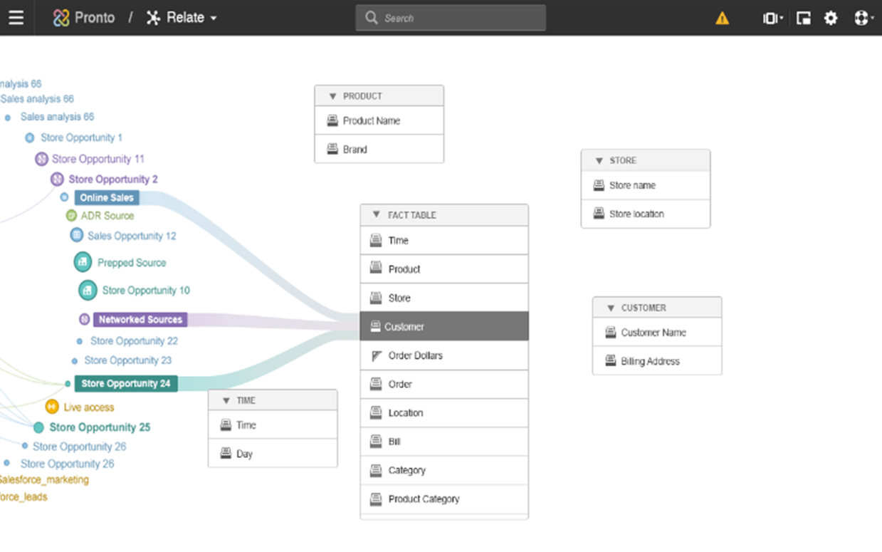Infor Birst Screenshot