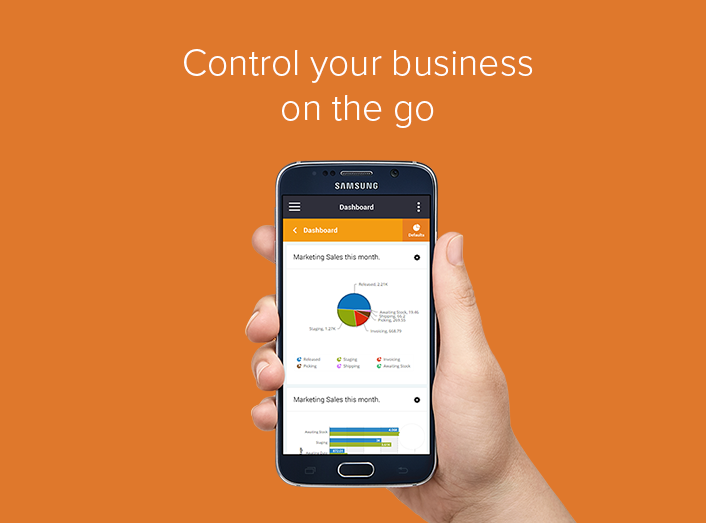 Khaos Control Screenshot
