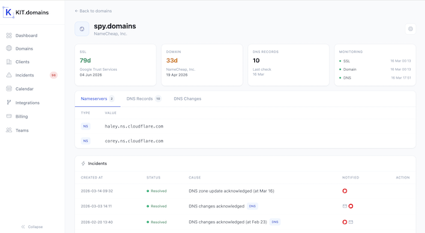 KIT.domains Screenshot