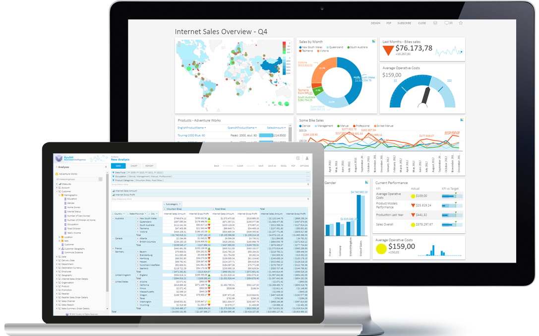 Kyubit Business Intelligence Screenshot