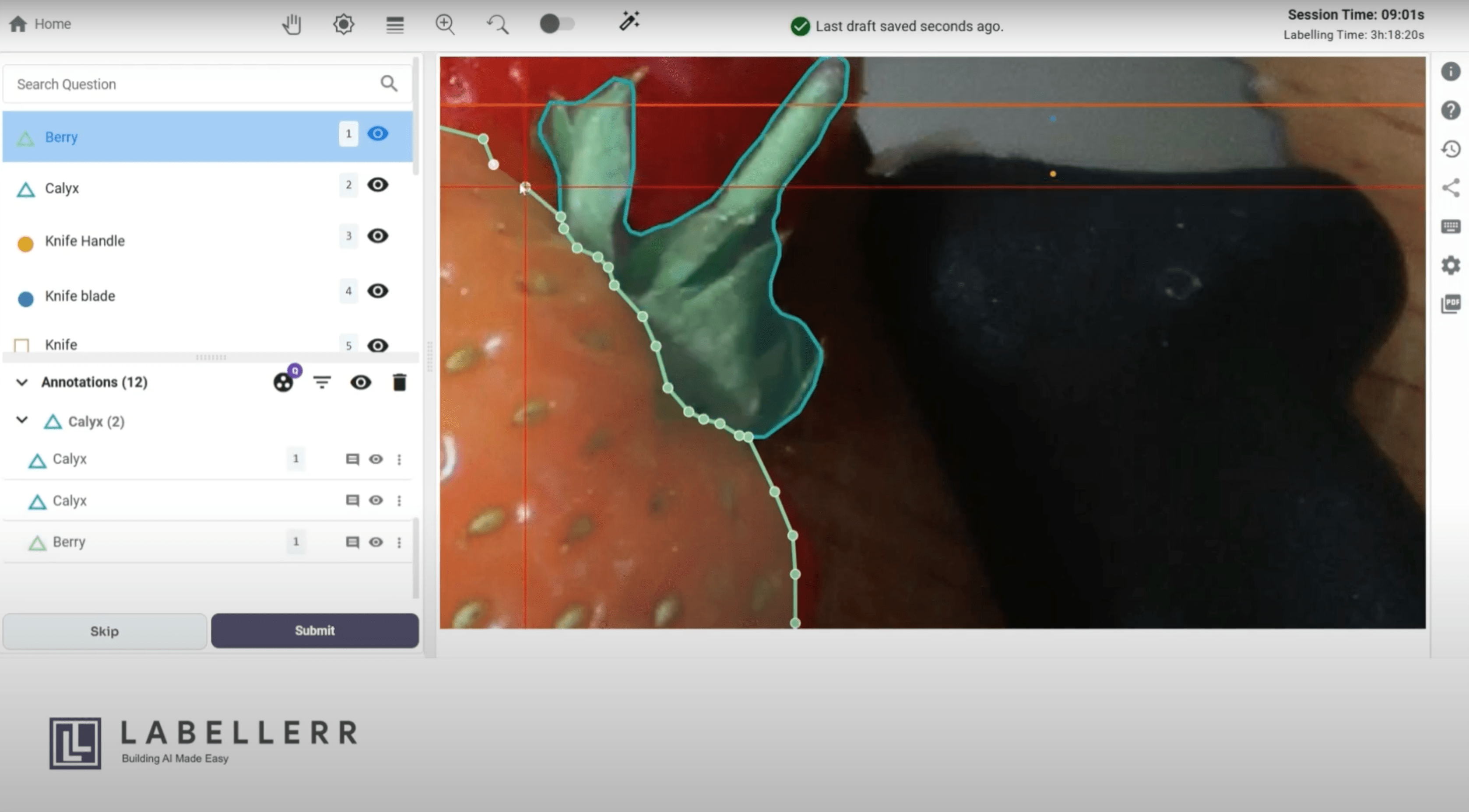 Labellerr screenshot & Video