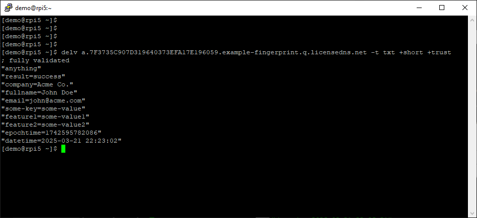 LicenseDNS Screenshot