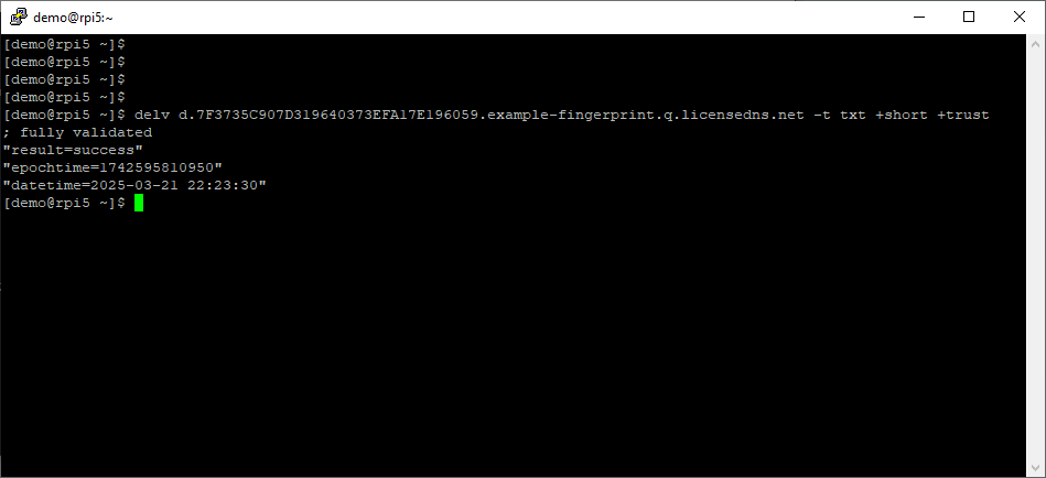 LicenseDNS Screenshot
