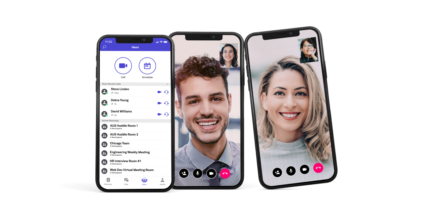 Lifesize Screenshot
