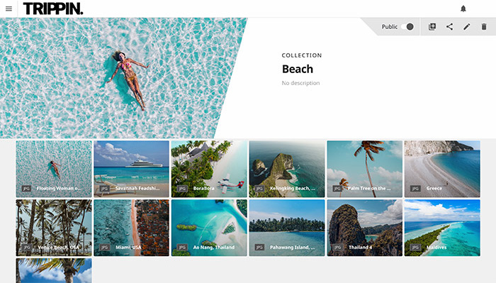 Lytho Digital Asset Management Screenshot
