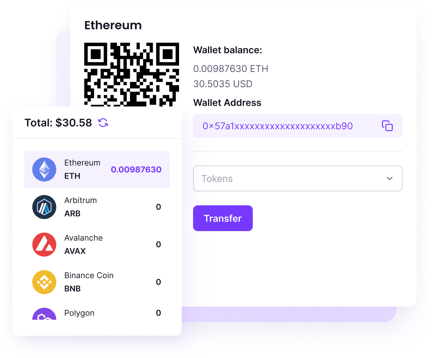 MaxelPay Screenshot