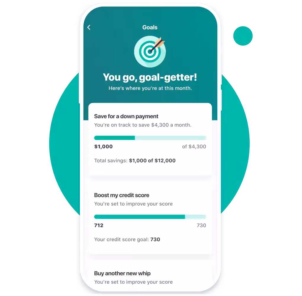 Mint screenshot & Video