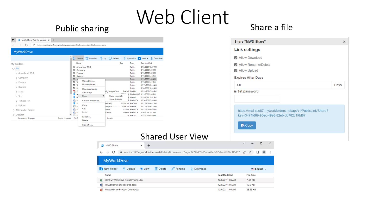 MyWorkDrive screenshot & Video