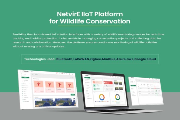 NetvirE screenshot & Video