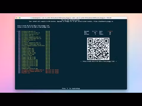 Pinggy Screenshot