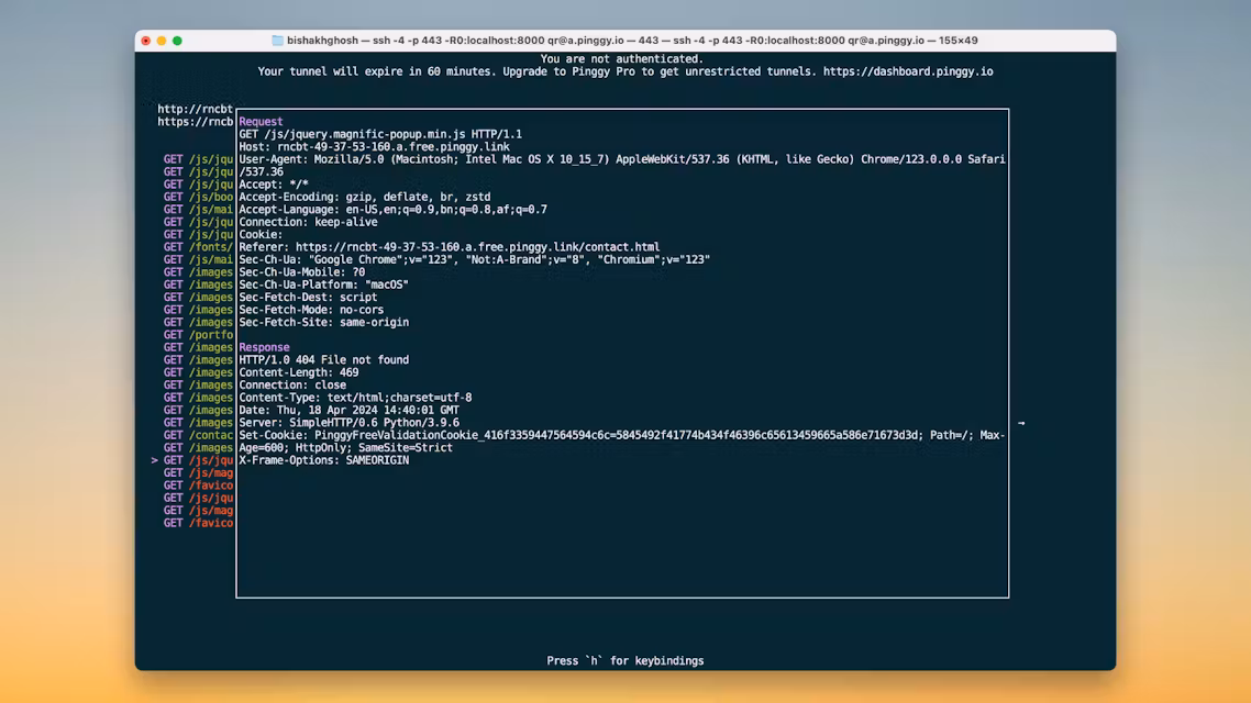 Pinggy Screenshot