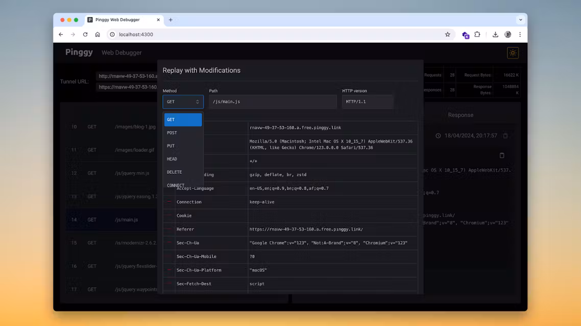 Pinggy Screenshot