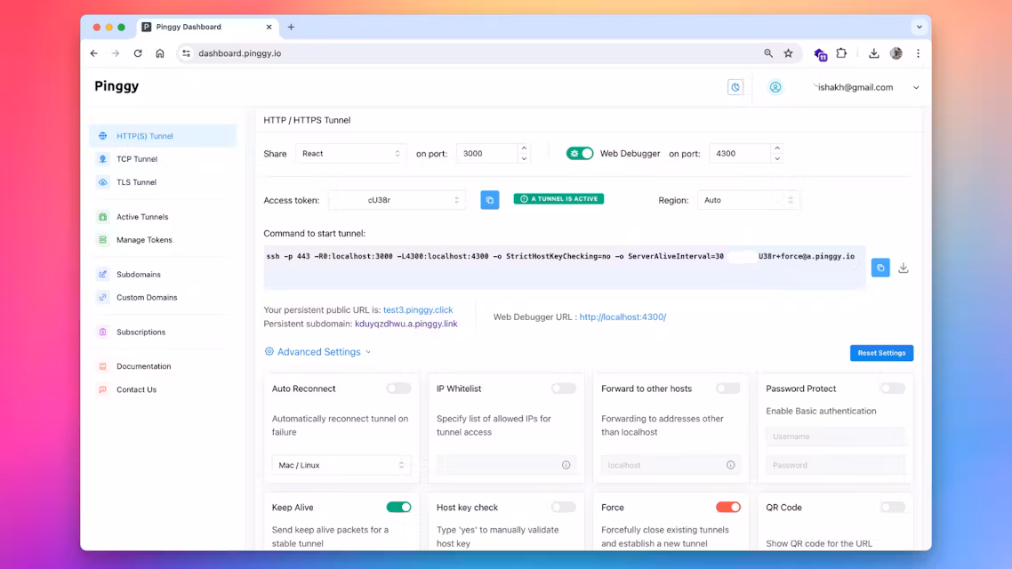 Pinggy Screenshot