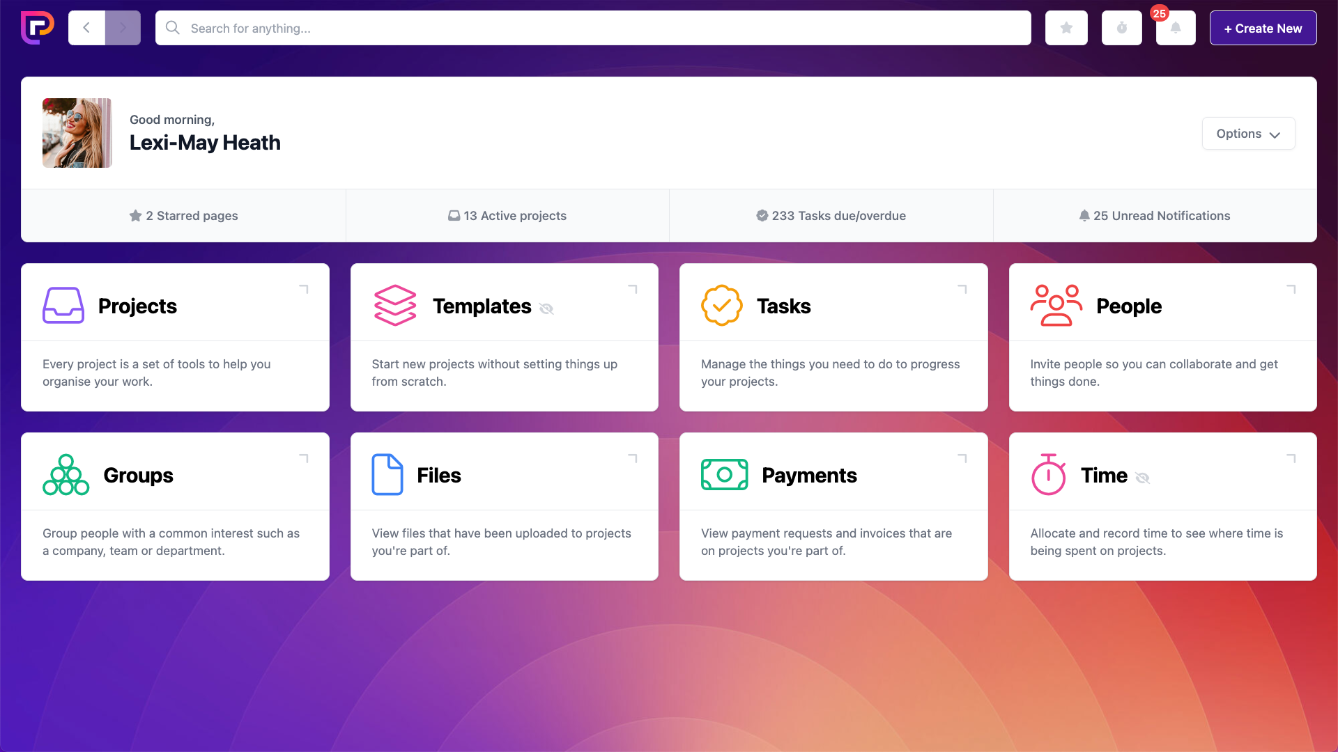 Project.co Screenshot