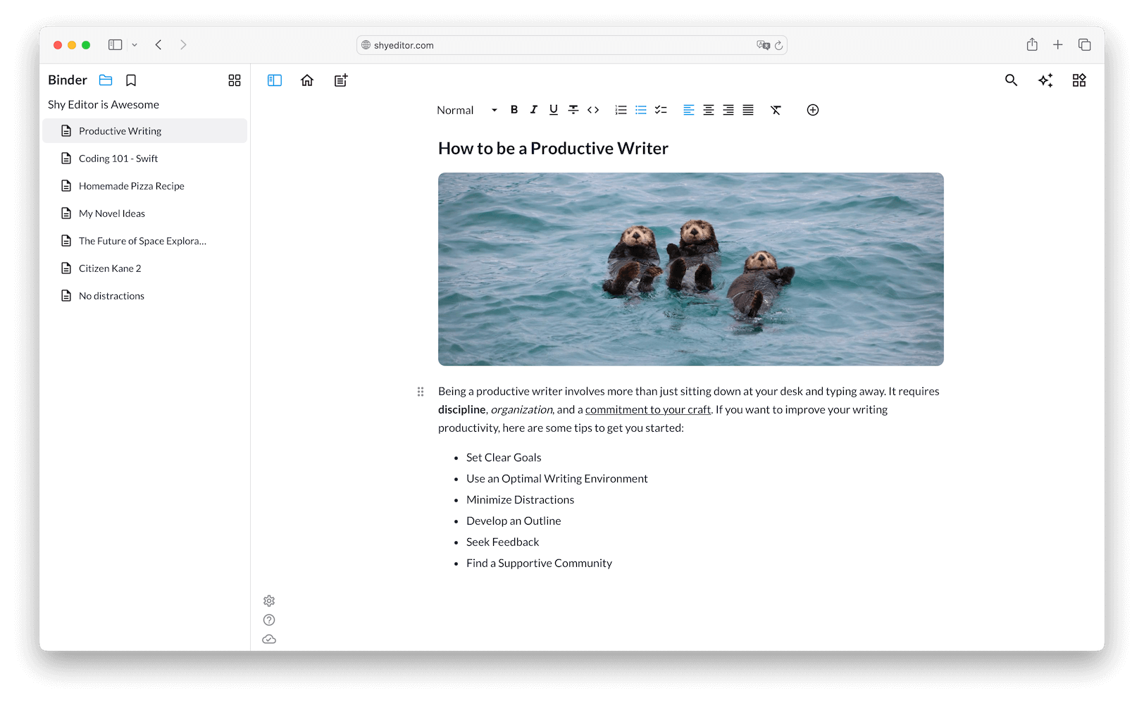 Shy Editor Screenshot