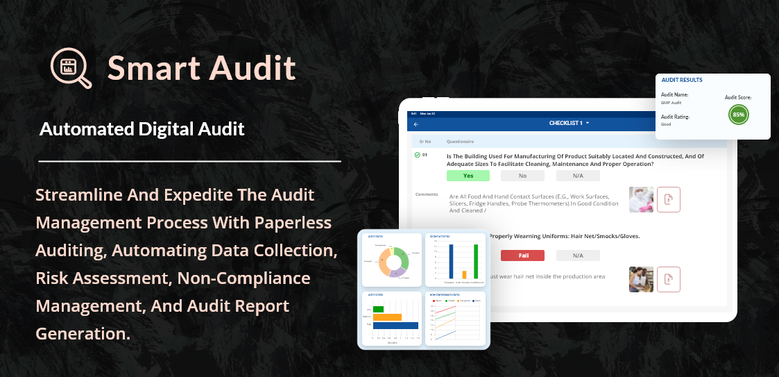Smart Audit screenshot & Video