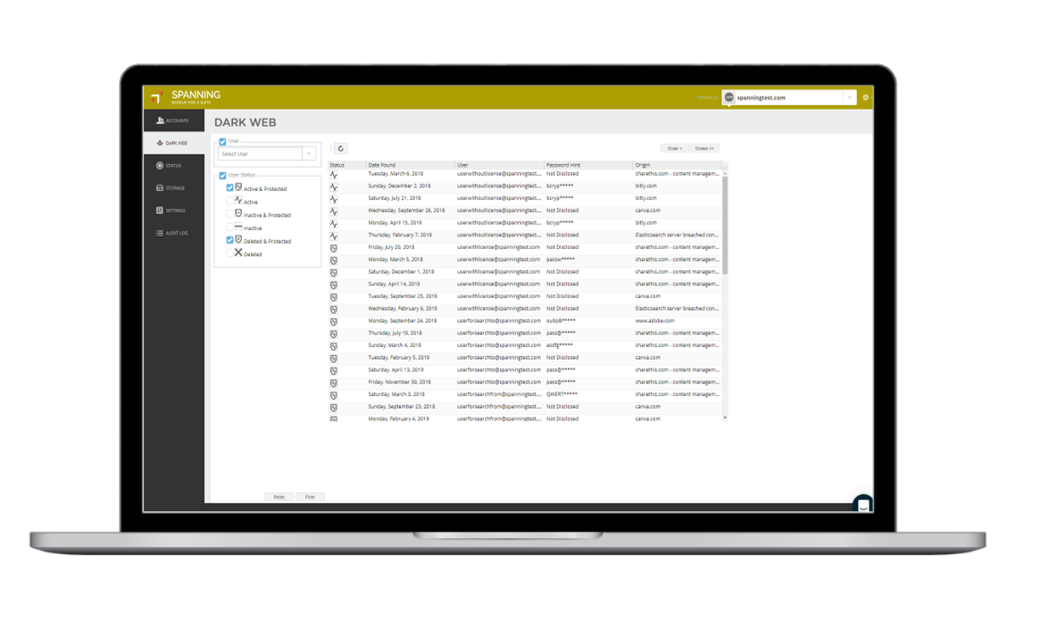 Spanning Backup Screenshot