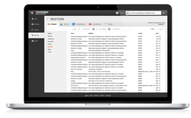 Spanning Backup Screenshot