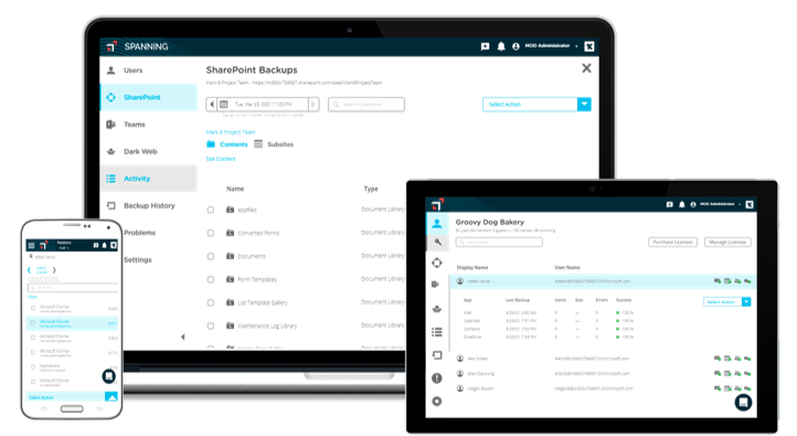 Spanning Backup Screenshot