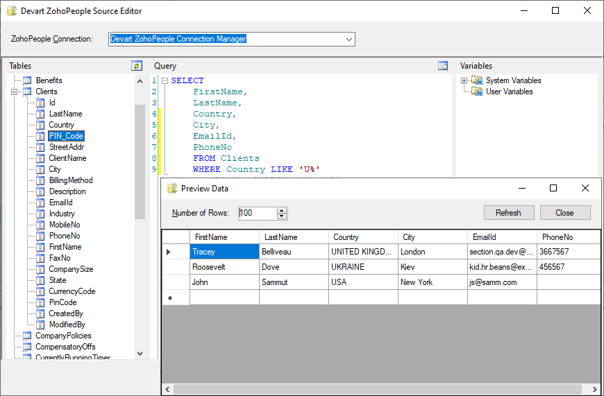 SSIS Data Flow Components for Zoho People Screenshot