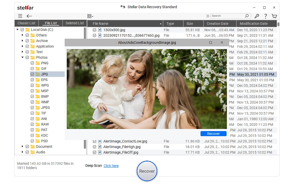 Stellar Data Recovery Premium - Win Screenshot