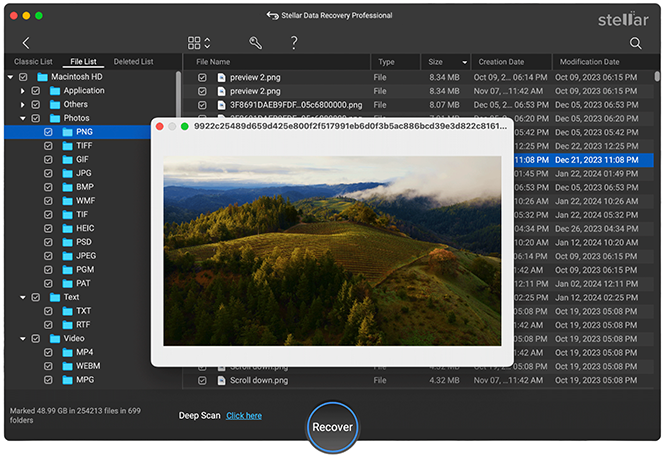 Stellar Data Recovery Professional- Mac Screenshot
