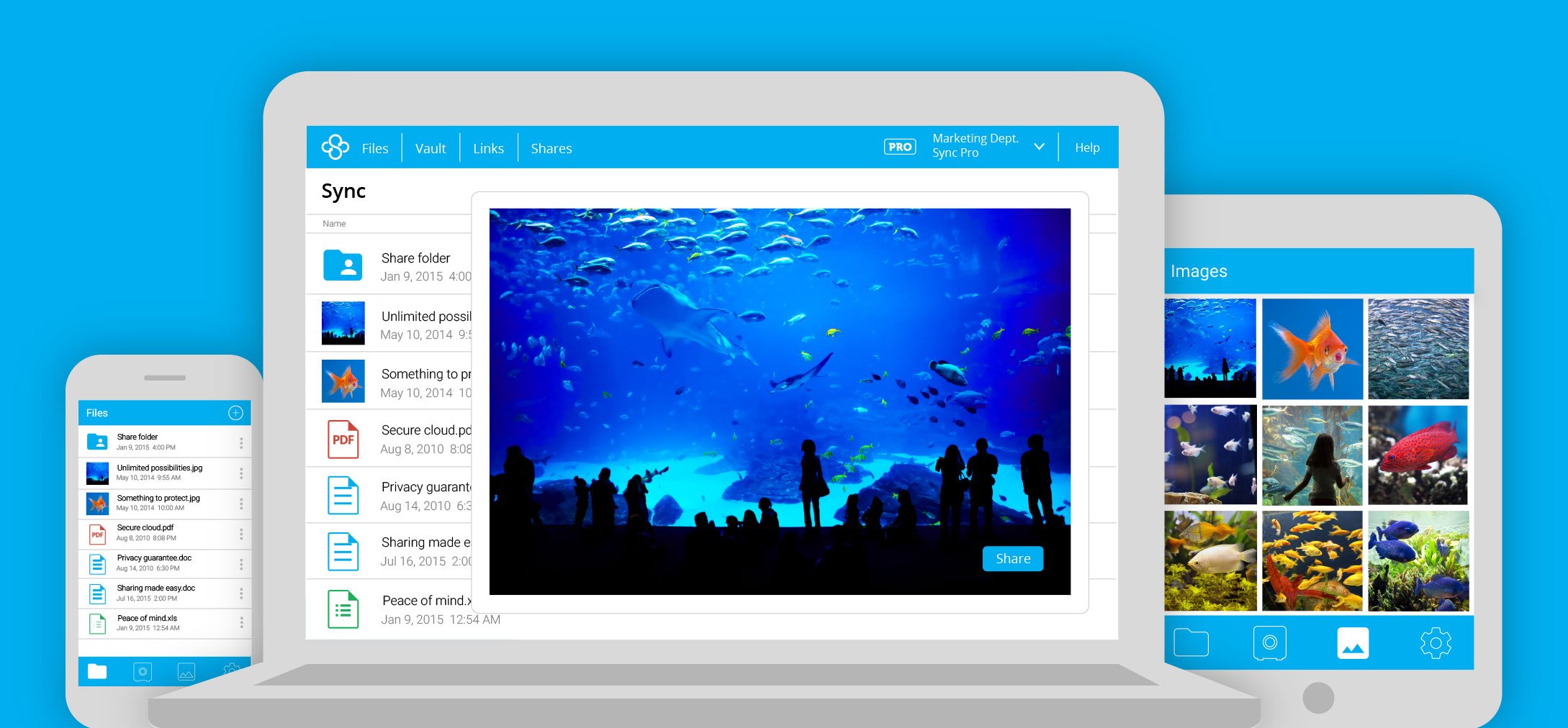 Sync.com screenshot & Video